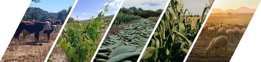 EjesTem-fotos-1.png (358 KB)